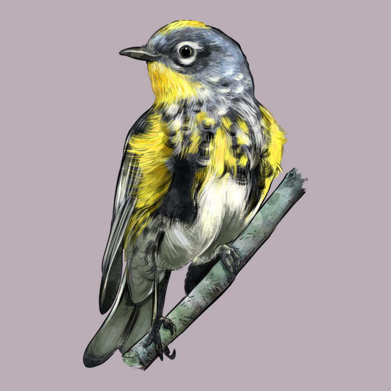 Yellow Rumped Warbler Vintage Tee by LillyAllenDesigns | Teevron