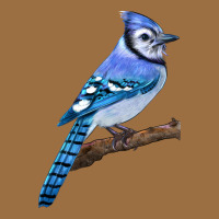 Blue Jay Bird Vintage Tee | Teevron
