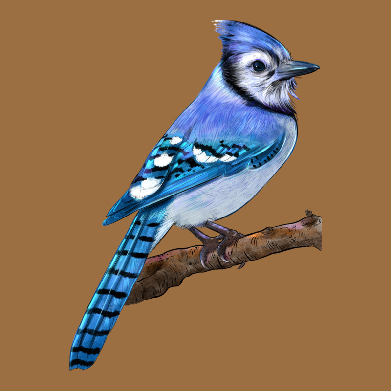 Blue Jay Bird Vintage Tee by LillyAllenDesigns | Teevron