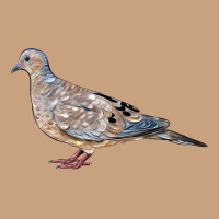 American Dove Vintage Tee | Teevron