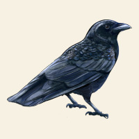 American Crow Vintage Tee | Teevron