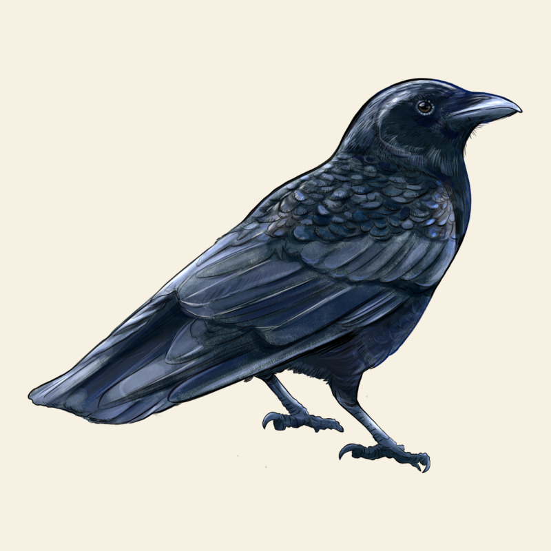 American Crow Vintage Tee by LillyAllenDesigns | Teevron