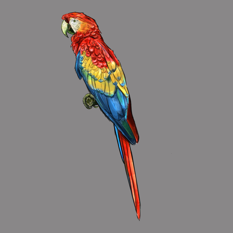 Scarlet Macaw Parrot Vintage Tee by LillyAllenDesigns | Teevron