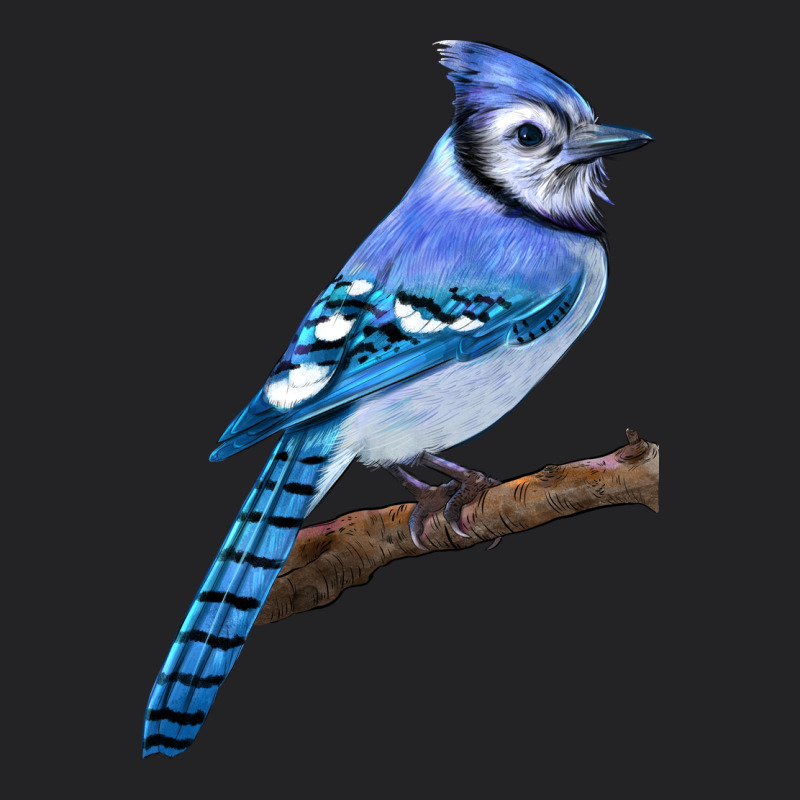 Blue Jay Bird Vintage Tee by LillyAllenDesigns | Teevron