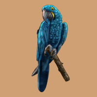 Hyacinth Macaw Vintage Tee | Teevron