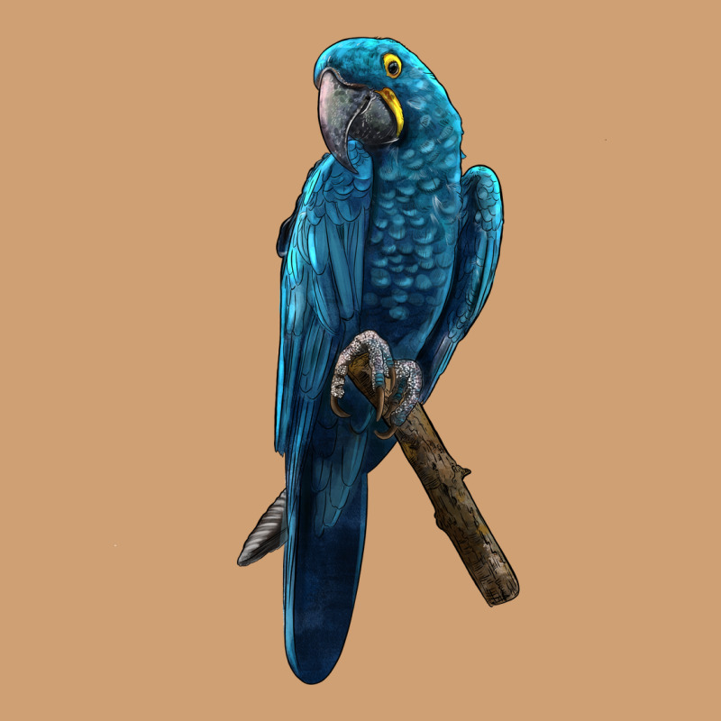 Hyacinth Macaw Vintage Tee by LillyAllenDesigns | Teevron