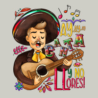 Ay, Ay, Ay Canta Y No Llores! Heavyweight Hoodie | Teevron