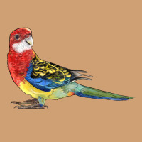 Rosella Bird Vintage Tee | Teevron