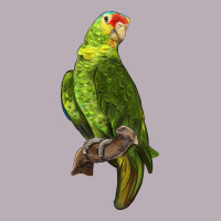 New Zealand Paraket Parrot Vintage Tee | Teevron