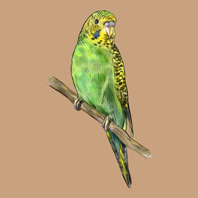Budgeriar Bird Parrot Vintage Tee by LillyAllenDesigns | Teevron