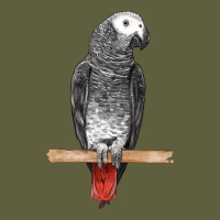 African Gray Parrot Bird Vintage Tee | Teevron