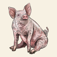 American Yorkshire Pig Vintage Tee | Teevron