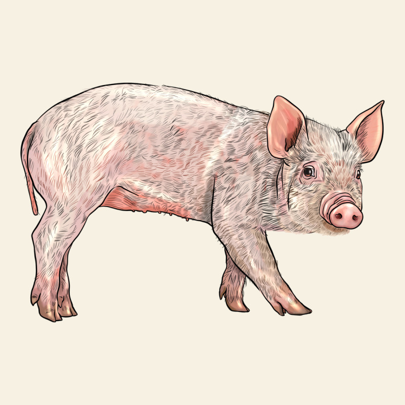 American Yorkshire Pig  Baby Vintage Tee by LillyAllenDesigns | Teevron
