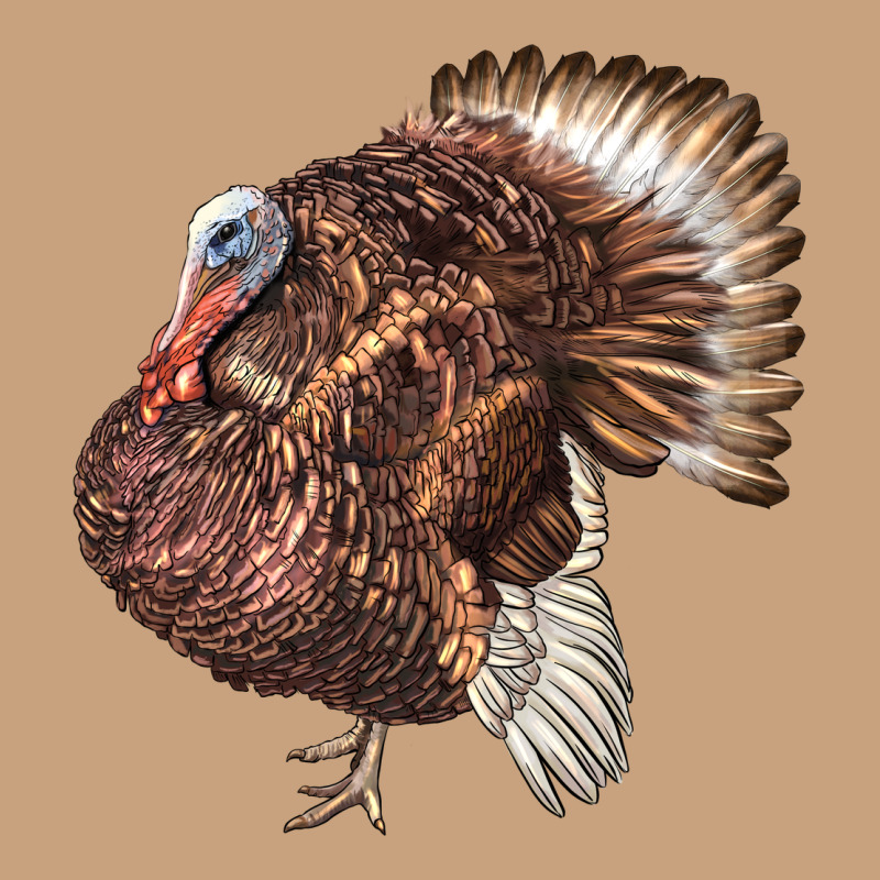 Bourbon Red Turkey Vintage Tee by LillyAllenDesigns | Teevron