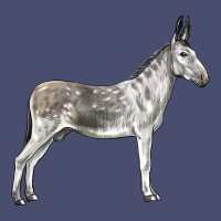 Andalusian Donkey Vintage Tee | Teevron