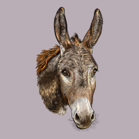 Andalusian Donkey Face Vintage Tee | Teevron
