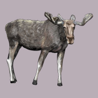 Moose Buck Deer Vintage Tee | Teevron
