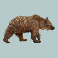 Bear Heavy Core Tee | Teevron