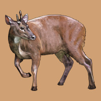 Red Brocket Buck Deer Vintage Tee | Teevron