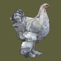 Brahma Chicken Vintage Tee | Teevron