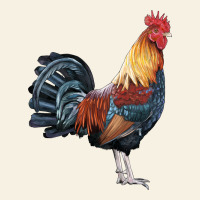 New Hampshire Red Rooster Vintage Tee | Teevron