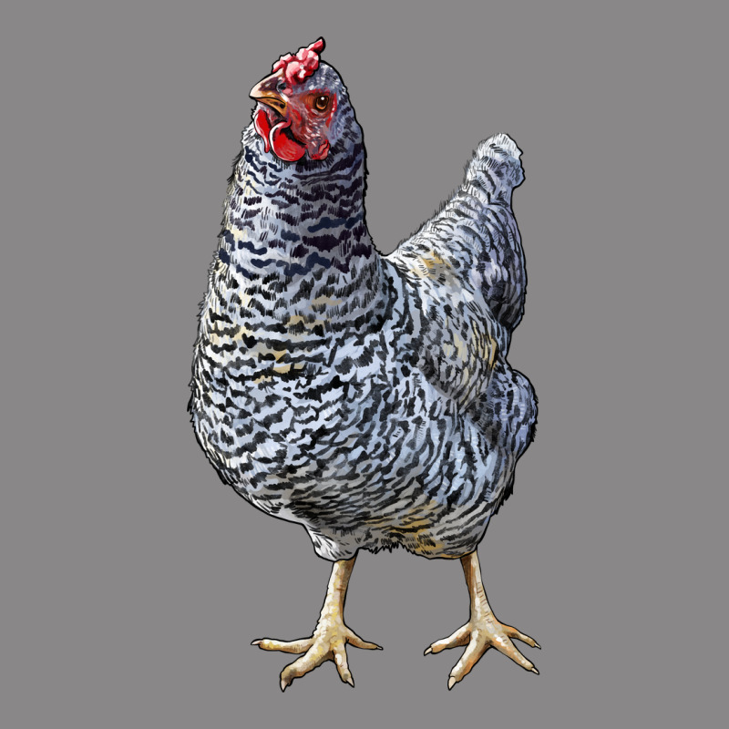 Dominique Chicken Vintage Tee by LillyAllenDesigns | Teevron