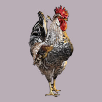Cream Legbar Rooster Vintage Tee | Teevron