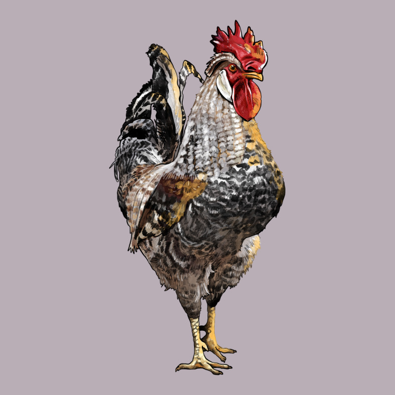 Cream Legbar Rooster Vintage Tee by LillyAllenDesigns | Teevron