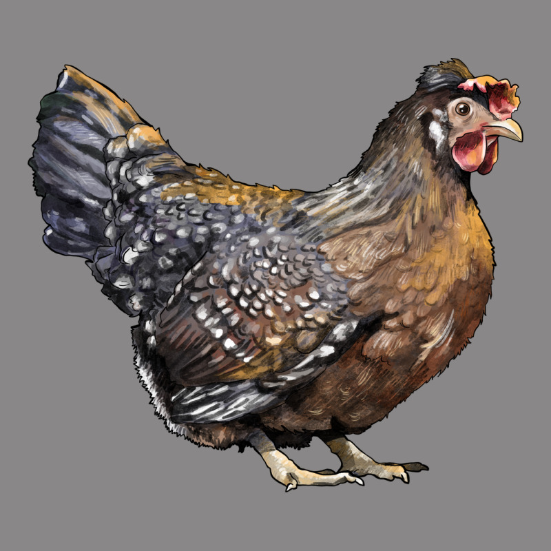 Cream Legbar Chicken Vintage Tee by LillyAllenDesigns | Teevron