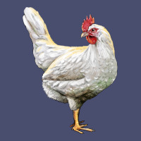 Leghorn Chicken Vintage Tee | Teevron