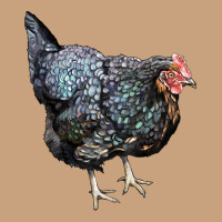 Jersey Giant Chicken Vintage Tee | Teevron