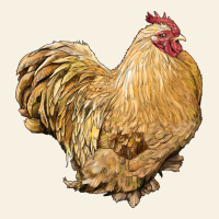 Cochin Rooster Vintage Tee | Teevron