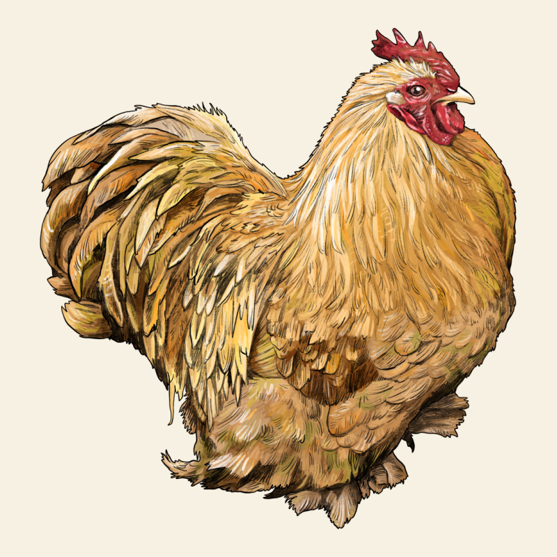 Cochin Rooster Vintage Tee by LillyAllenDesigns | Teevron