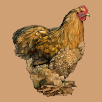 Cochin Chicken Vintage Tee | Teevron