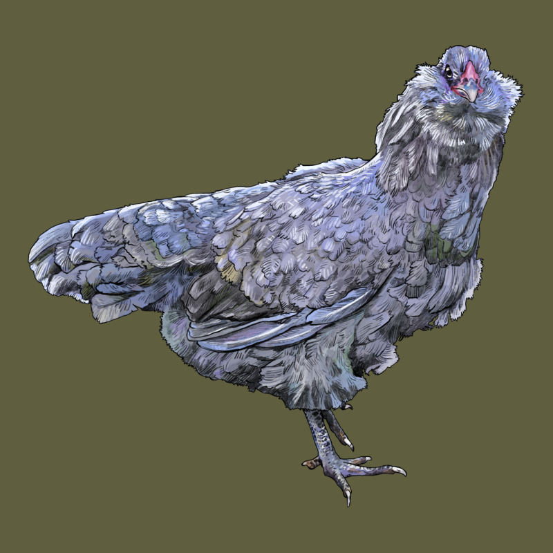 Ameraucana Chicken Vintage Tee by LillyAllenDesigns | Teevron