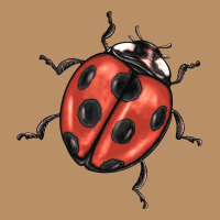 Ladybug Vintage Hoodie | Teevron