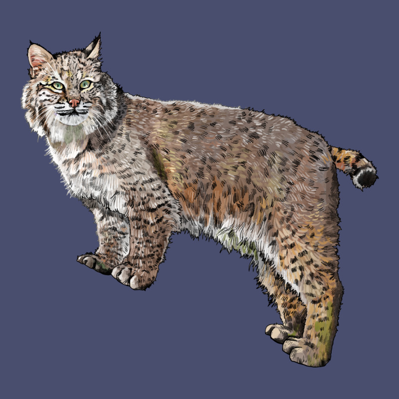Bobcat Vintage Tee by LillyAllenDesigns | Teevron
