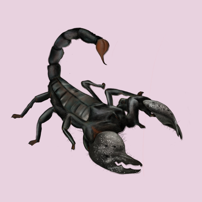 Scorpion Ladies Tee by JahusDesignShop | Teevron