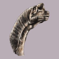 Brachiosaurus Face Vintage Tee | Teevron