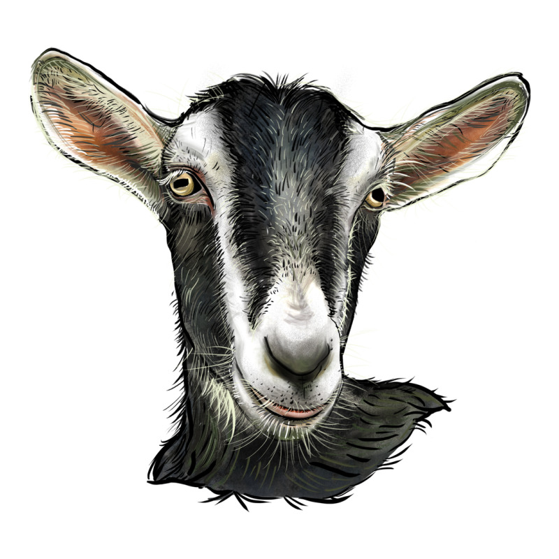 Alpine Goat Head Urban Heavy Tee by LillyAllenDesigns | Teevron