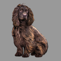 Boykin Spaniel Dog Vintage Hoodie | Teevron