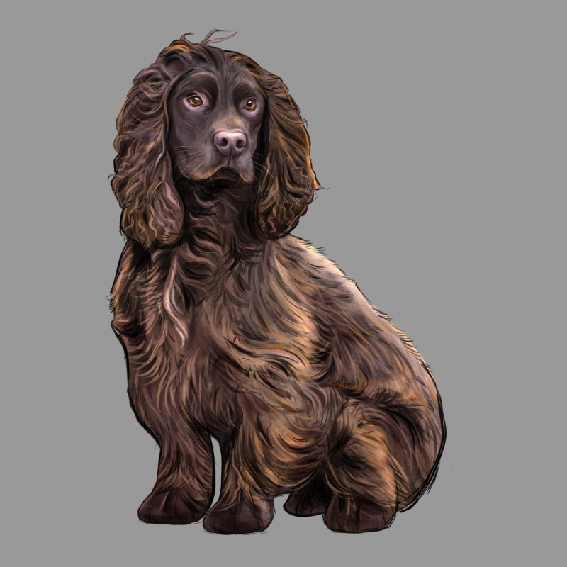 Boykin Spaniel Dog Vintage Hoodie by LillyAllenDesigns | Teevron