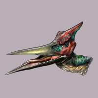 Pteranodon Face Vintage Tee | Teevron