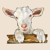 Baby Cashmere Goat Urban Heavy Tee | Teevron