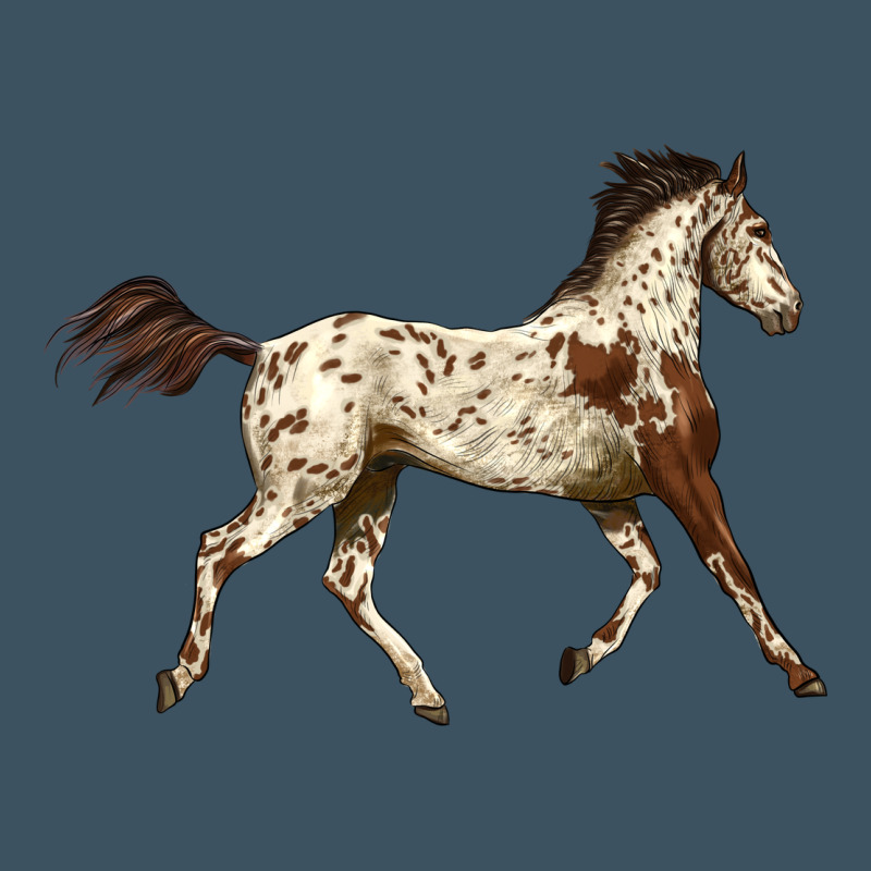 Appaloosa Horse Urban Heavy Tee by LillyAllenDesigns | Teevron