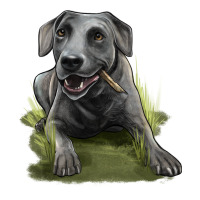 Texas Blue Lacy Dog | Teevron