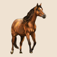 Quarter Horse Urban Heavy Tee | Teevron