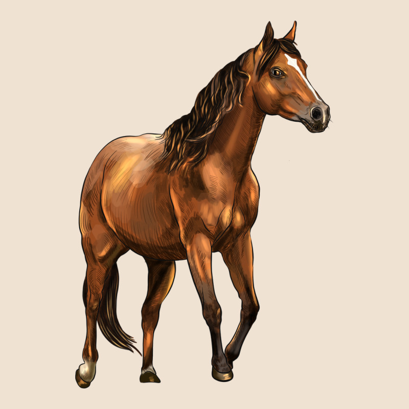 Quarter Horse Urban Heavy Tee by LillyAllenDesigns | Teevron
