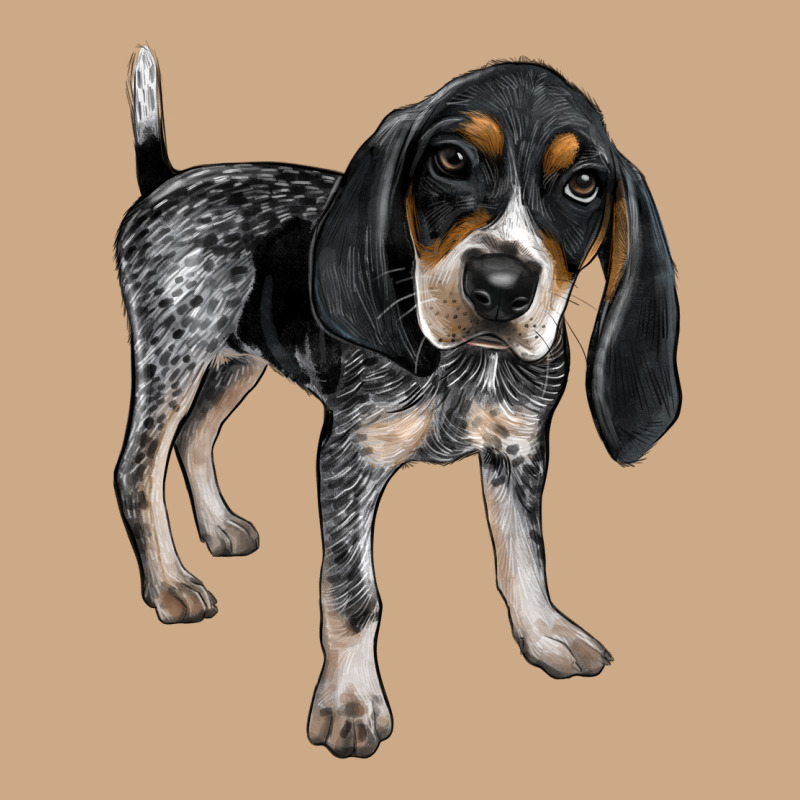 Bluetick Coonhound Vintage Hoodie by LillyAllenDesigns | Teevron