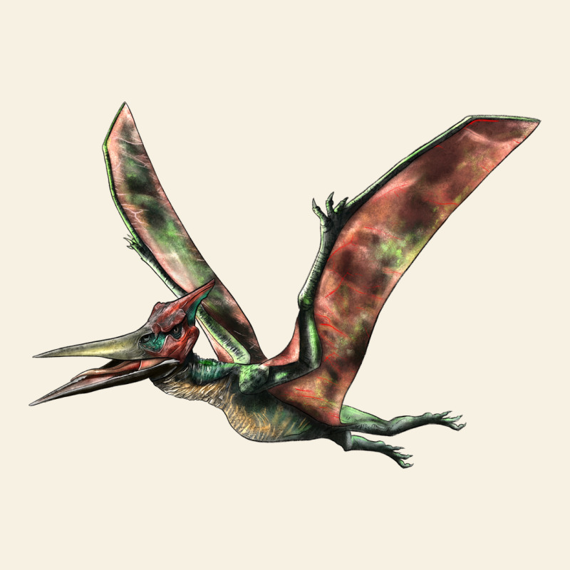 Pteranodon Vintage Tee by LillyAllenDesigns | Teevron